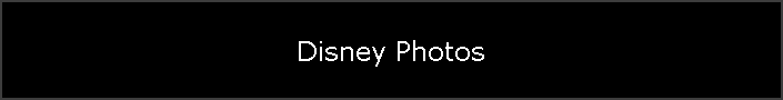 Disney Photos