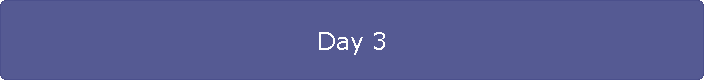 Day 3