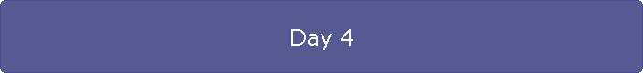 Day 4