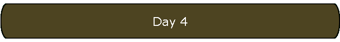 Day 4