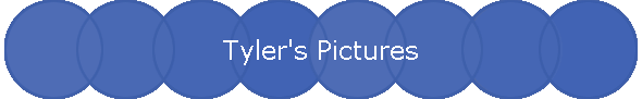 Tyler's Pictures