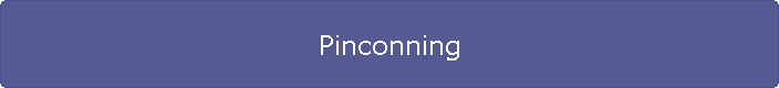 Pinconning