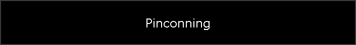 Pinconning