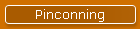 Pinconning