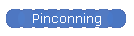 Pinconning