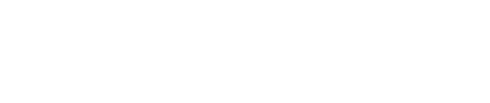 Freedom Festival