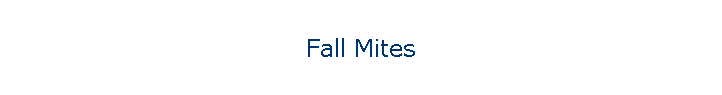 Fall Mites