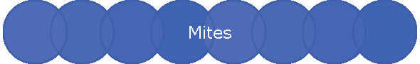 Mites