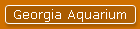 Georgia Aquarium