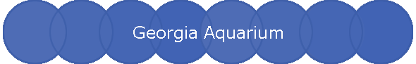 Georgia Aquarium