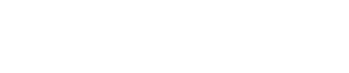 January Snowstorm