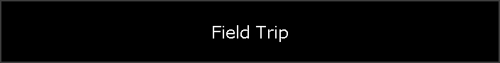 Field Trip