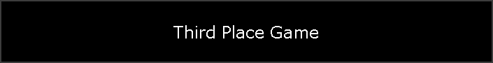 Third Place Game