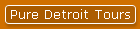 Pure Detroit Tours