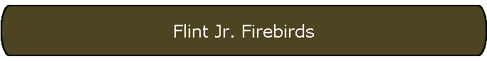 Flint Jr. Firebirds