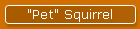 "Pet" Squirrel
