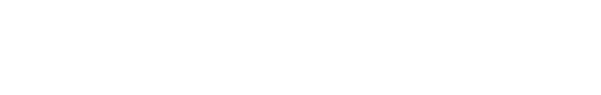 Tampa Dynamo FC