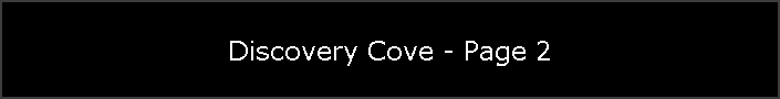 Discovery Cove - Page 2