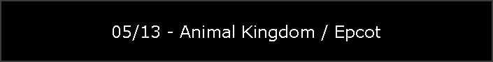 05/13 - Animal Kingdom / Epcot